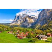 The Alpine Queen: Why Edelweiss is the Ultimate Secret for Radiant Skin