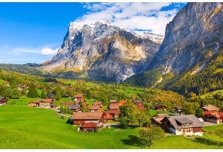 The Alpine Queen: Why Edelweiss is the Ultimate Secret for Radiant Skin