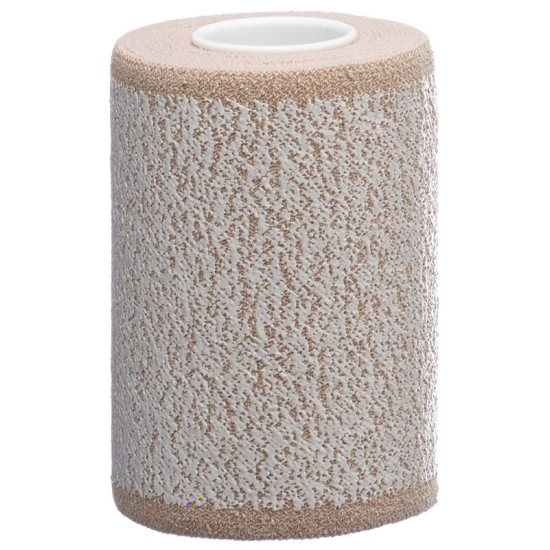 Panellast plaster bandage 8cmx2.5m skin color buy online