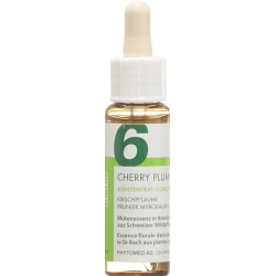 Phytomed Bachblüten No6 Kirschpflaume Flasche 10ml