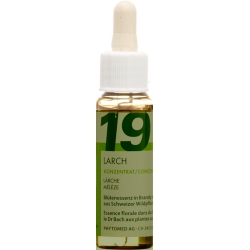 Phytomed Bachblüten No19 Laerche Flasche 10ml