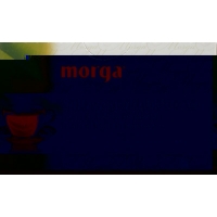 Morga Spitzwegerich Tee Beutel 20 Stück