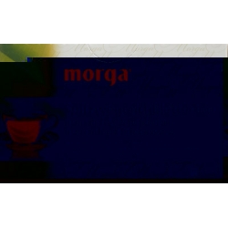 Morga Spitzwegerich Tee Beutel 20 Stück