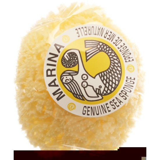 Marina natural sponge Venise 12cm buy online