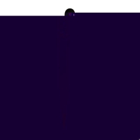 Hausmann tweezers pointed black