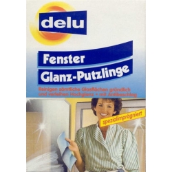 Delu Fensterglanz Putzlinge