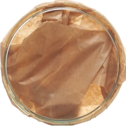 Assistant petri dish 10x2cm glass