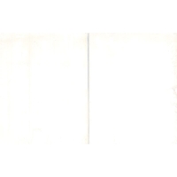 Reina Glycerinseifenblock Transparent Unparf 2x 500g