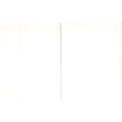 Reina Glycerinseifenblock Transparent Unparf 2x 500g