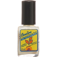Crealine Nagelhaerter Long And Strong Matt 12ml