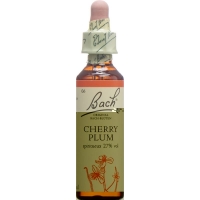 Bachblüten Cherry Plum Nr. 6 Flüssig 20ml