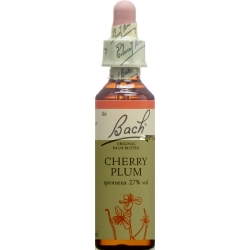 Bachblüten Cherry Plum Nr. 6 Flüssig 20ml