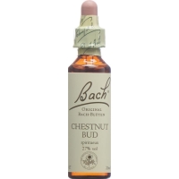 Bachblüten Chestnut Bud Nr. 7 Flüssig 20ml