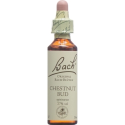 Bachblüten Chestnut Bud Nr. 7 Flüssig 20ml