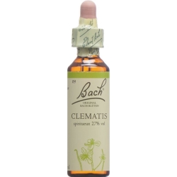 Bachblüten Clematis Nr. 9 Flüssig 20ml