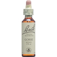 Bachblüten Gorse Nr. 13 Flüssig 20ml