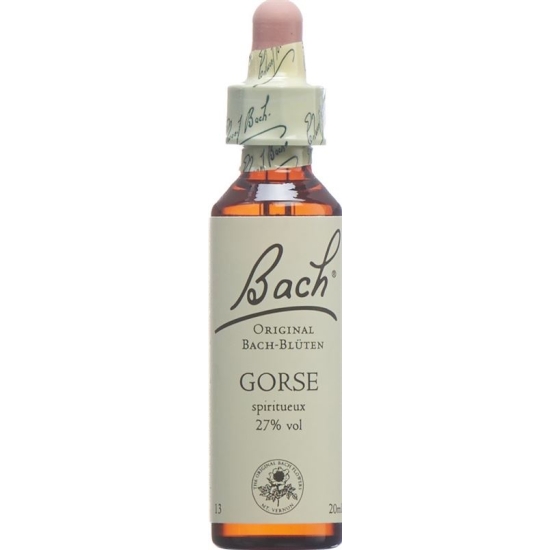 Bachblüten Gorse Nr. 13 Flüssig 20ml buy online