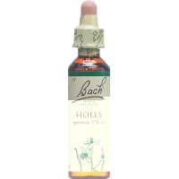 Bachblüten Holly Nr. 15 Flüssig 20ml