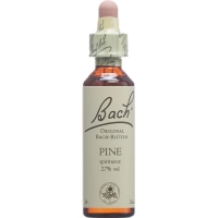Bachblüten Pine Nr. 24 Flüssig 20ml