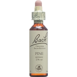Bachblüten Pine Nr. 24 Flüssig 20ml