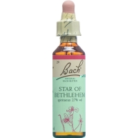 Bachblüten Star Of Bethlehem Nr. 29 Flüssig 20ml