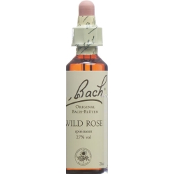 Bachblüten Wild Rose Nr. 37 Flüssig 20ml