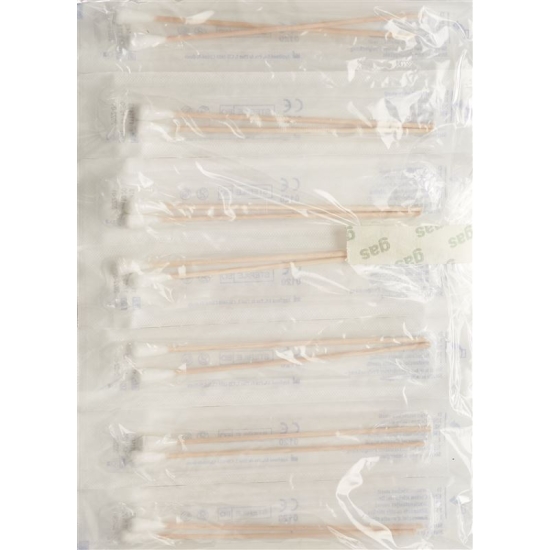 Applimed Wattestäbchen 15cm Mitte Holz 100x2 St buy online