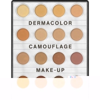 Dermacolor Mini Palette D1 with 16 colors