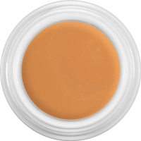 Dermacolor Camouflage Creme Dfd Dose 25ml
