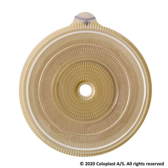 Easiflex Basisplatte Extra 35/50mm Vorgest 10 Stück buy online