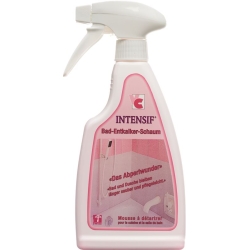 Intensif Bad Entkalker Schaum Liquid 500g