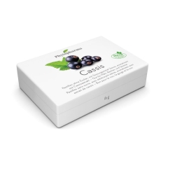 Phytopharma Cassis Pastillen 60g