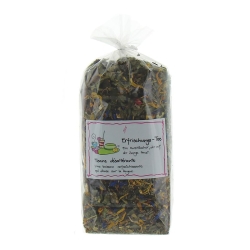 Herboristeria Tee Erfrischung im Sack 80g