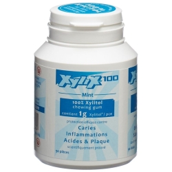 Xylix100 Display Kaugummi Mint 6x 90 Stück