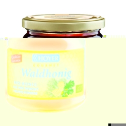 Hoyer Waldhonig Bio Glas 500g