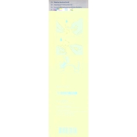 Curaprox Bdc 152 denture brush Mint