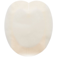 Suprasorb P Schaumverb 18x20.5cm Sacrum Kleb 5 Stück