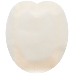 Suprasorb P Schaumverb 18x20.5cm Sacrum Kleb 5 Stück
