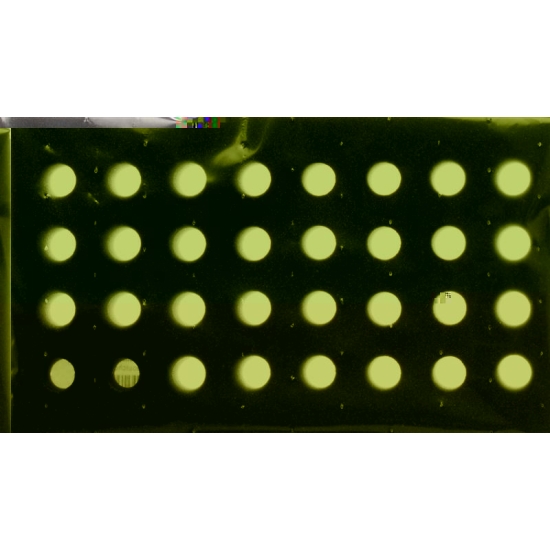 Ha-Ra Moosgummi zu Pressbutler buy online