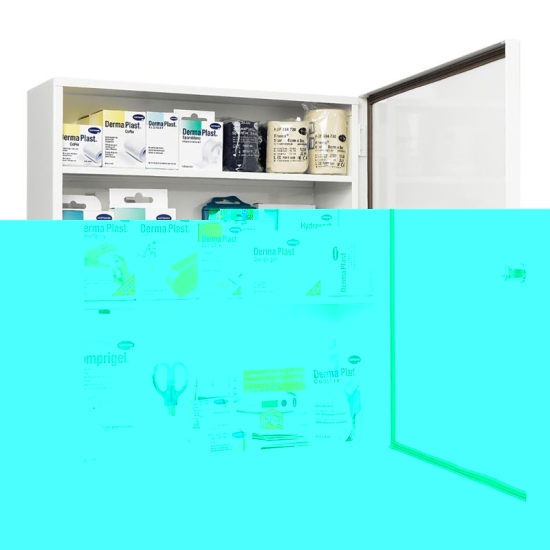 IVF Hausapo Metal Cabinet Filled buy online