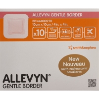 Allevyn Gentle Border Wundverband 10x10cm 10 Stück