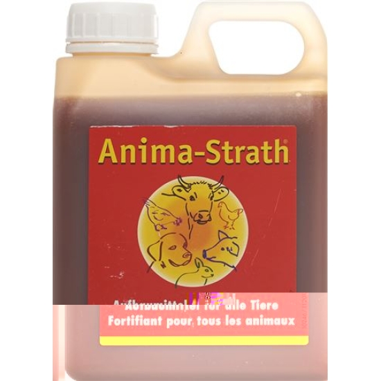 Anima Strath Aufbaumittel 5 Liter buy online