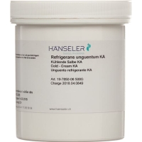 Haenseler Ungt Refrigerans Ka Dose 100g