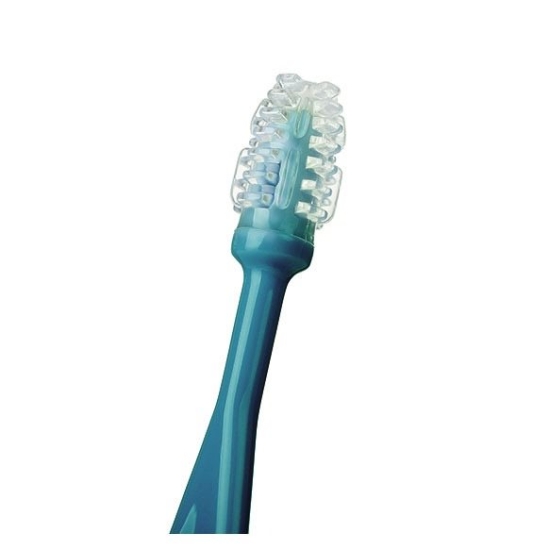 Babyono toothbrush set 3 brushes buy online