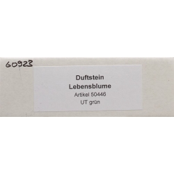 Aromalife Duftstein Set Lebensblume&untertel Grün
