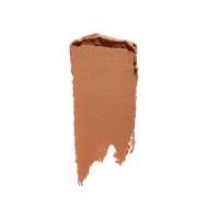 Shiseido Synchro S Self Refr Gel Conc No 304