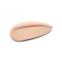 Shiseido Synchro Skin Self Refr Fdt No 160