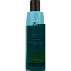 Grn Pure Shampoo Sensitiv Alge&meersalz Flasche 250ml