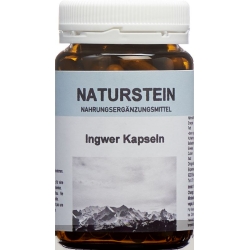 Naturstein Ingwer Kapseln Glasflasche 100 Stück