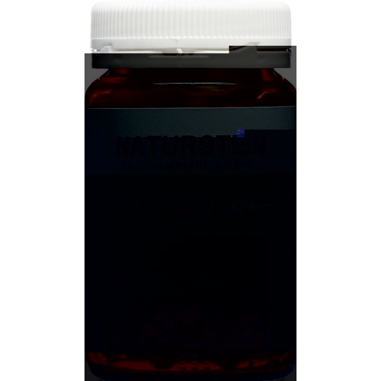 Naturstein Teufelskrallen Kapseln Glasflasche 100 Stück buy online